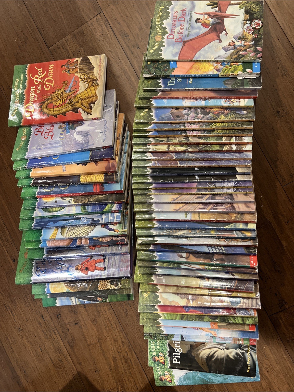 Magic Tree House Books Set by Mary Pope Osborne. Lot Of 55 Books