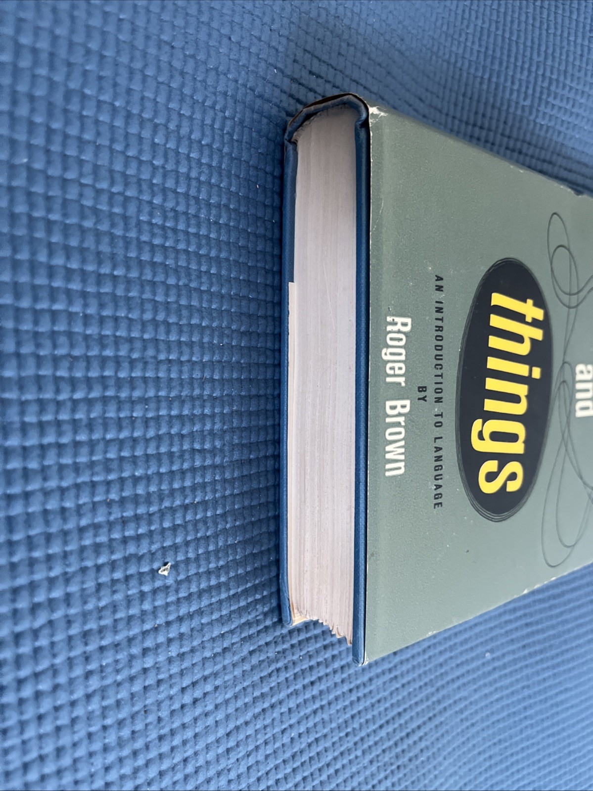 Words and Things Roger Brown Free Press HC + DJ SEVENTH PRINTING 1966