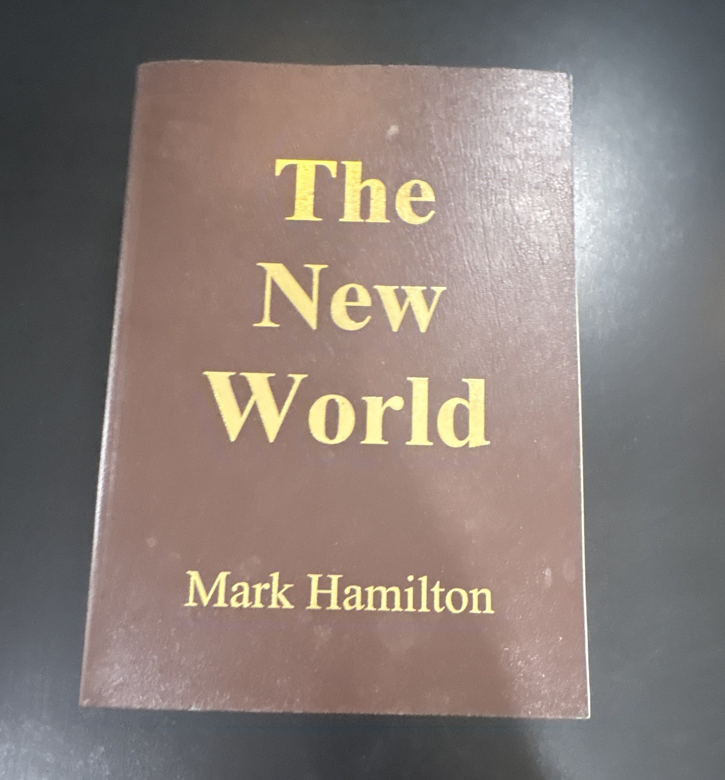 Mark Hamilton The New World 1st Printing Hardcover Neothink Society 2021 YA