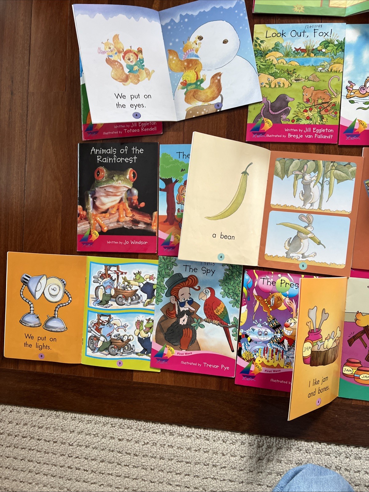 Lot of 22 Rigby Sails PM Books Leveled Readers Homeschool Beginner Reader Sight