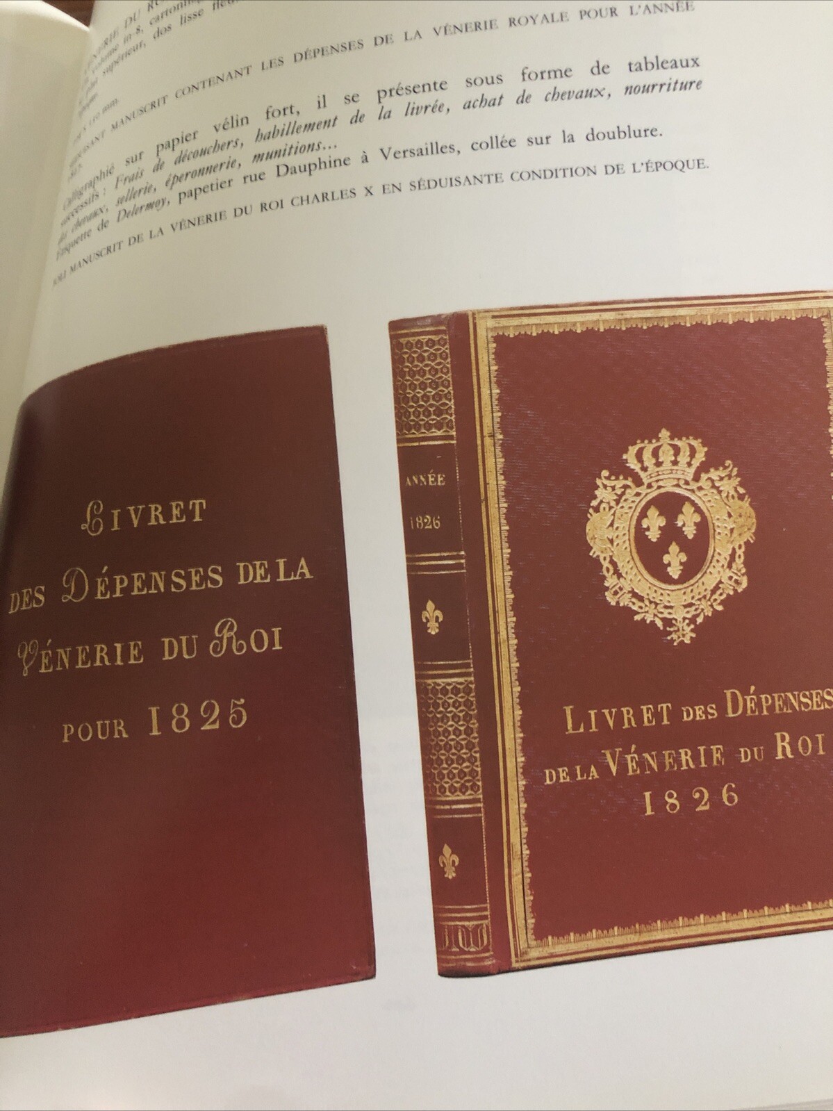 Precious Manuscripts & Books- Renaissance to Cubism -Patrick, Elisabeth Sourget
