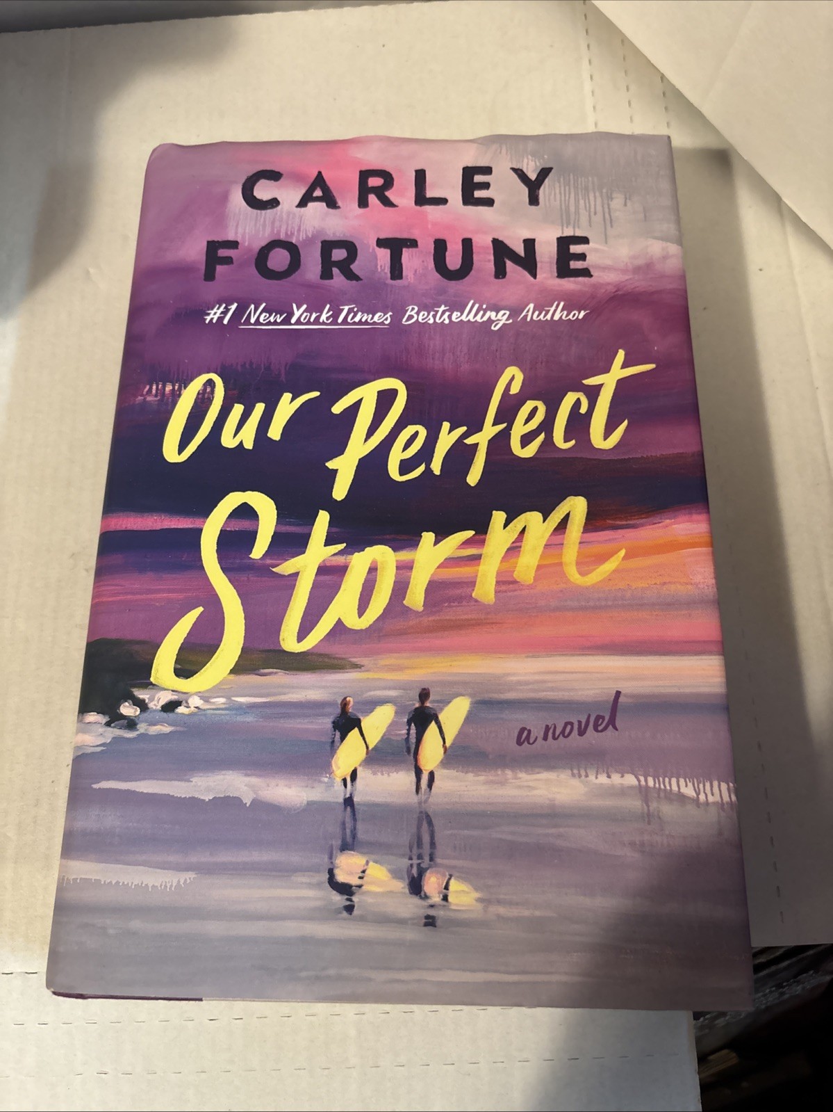 Our Perfect Storm by Carley Fortune (2026, Hardcover)