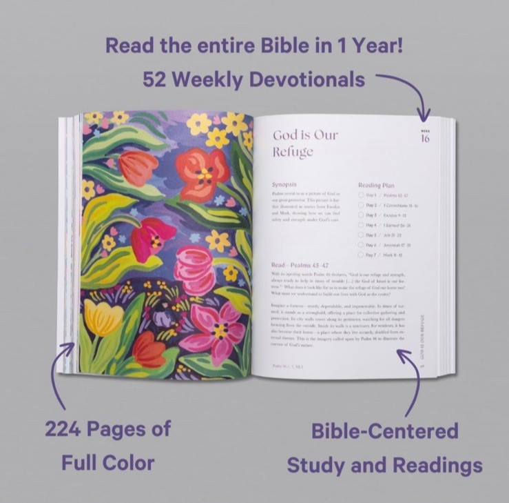 Beautiful Year in the Bible: the 52-Week Bible Study for Women (SC) by Alabaster