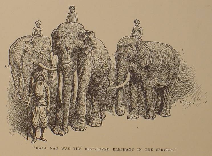 1894 Rare THE JUNGLE BOOK Antique FIRST EDITION Rudyard Kipling 3RD PRINTING