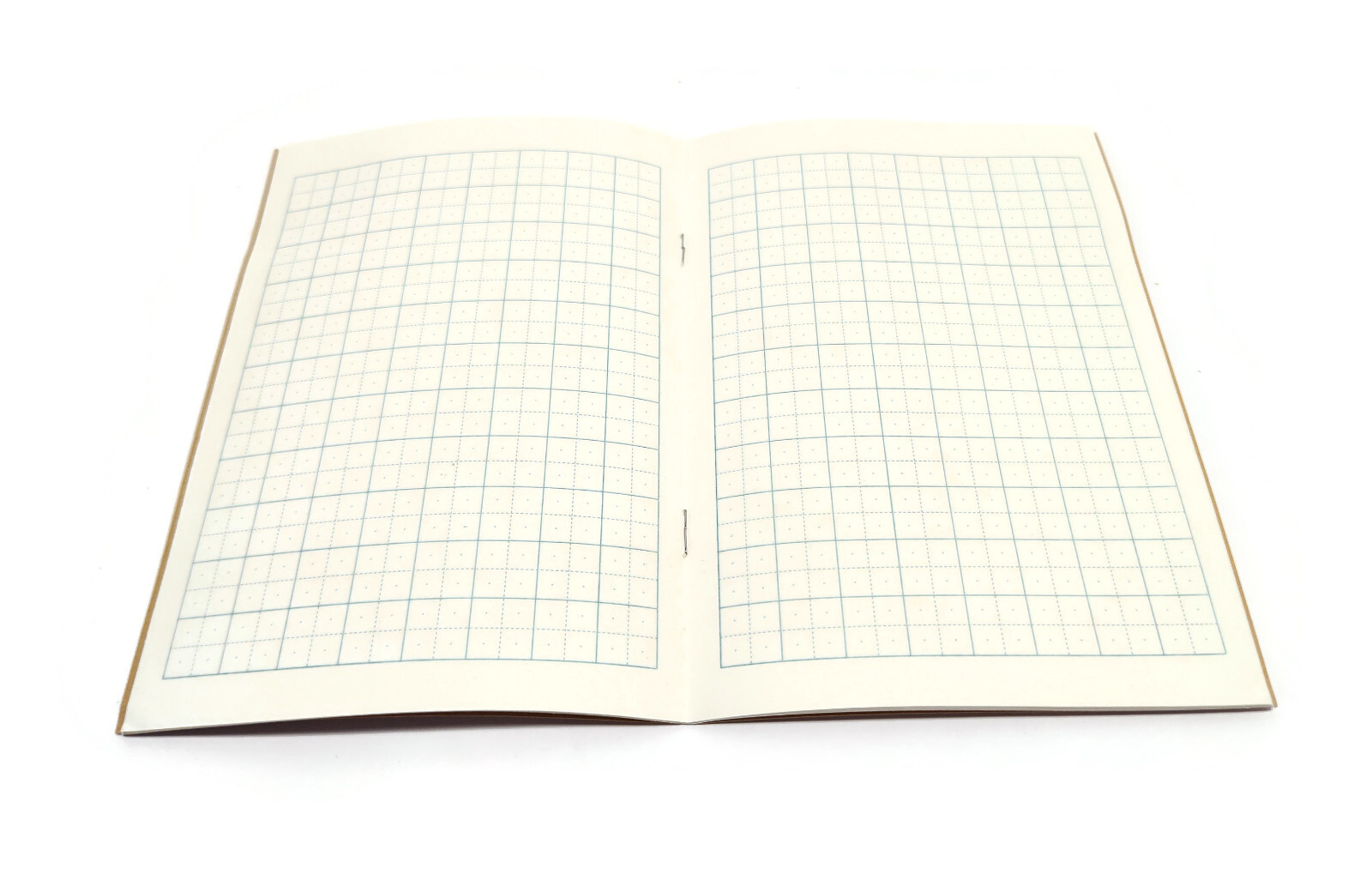 Chinese Character Writing Exercise/Practice Book – Pack of 10 books – 拼音田字格本练习册