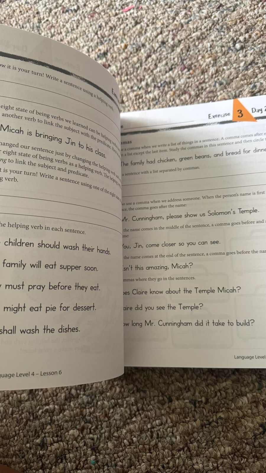 Masterbooks Language Lessons for a Living Education Level 4