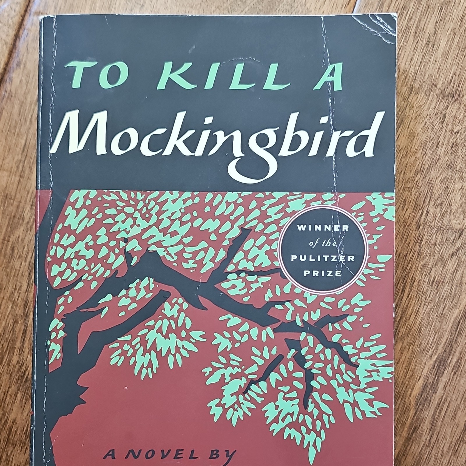 Harper Lee To Kill a Mockingbird Paperback Fiction Classics Novel