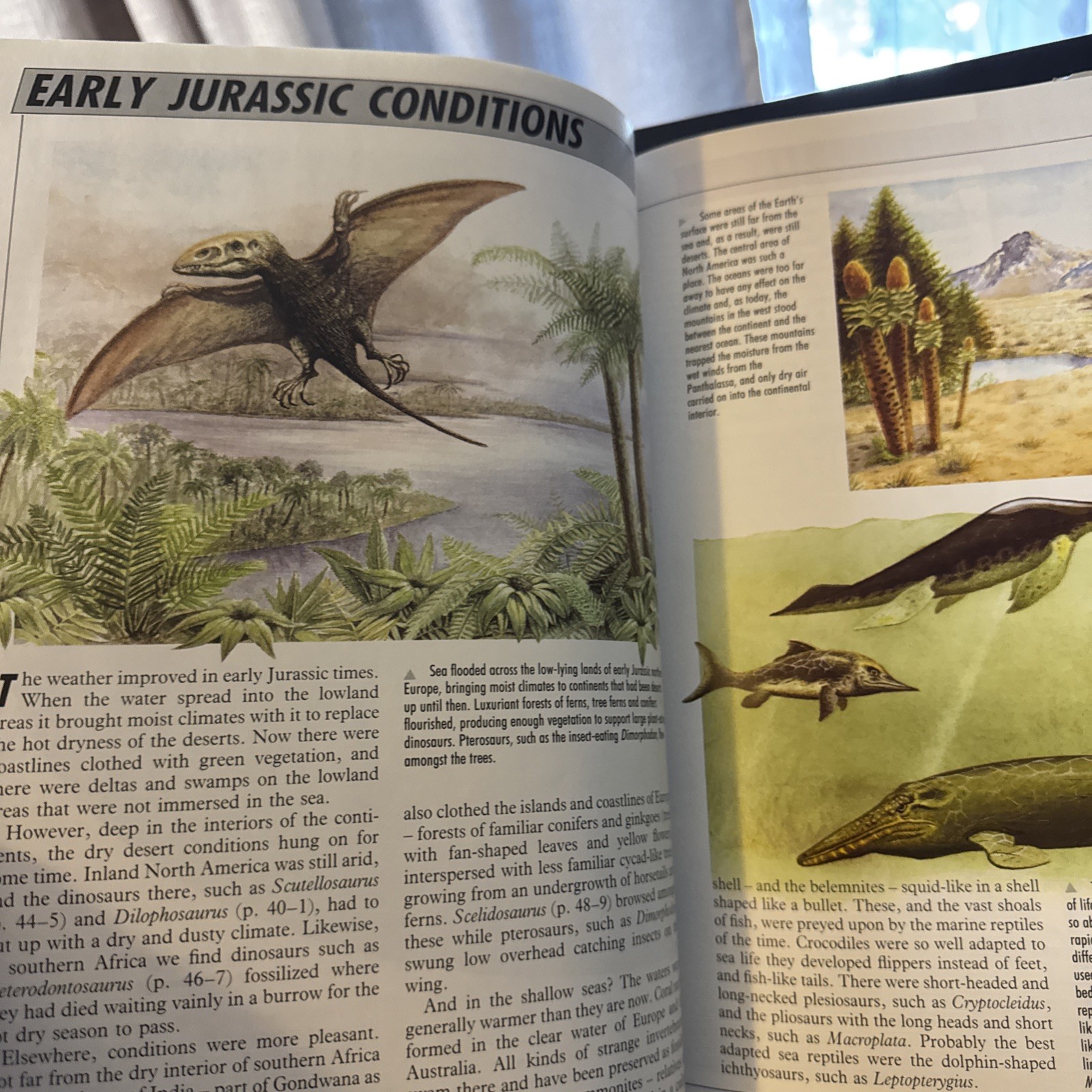 Illustrated Dinosaur Encyclopedia by Dougal Dixon (1988, Hardcover)