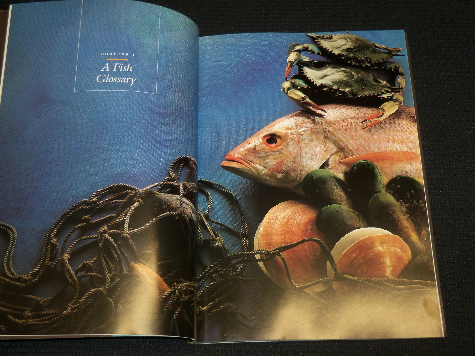 1985 THE FISH BOOK BY KELLY MCCINE – SOFTCOVER – NICE PHOTOS – R 719G