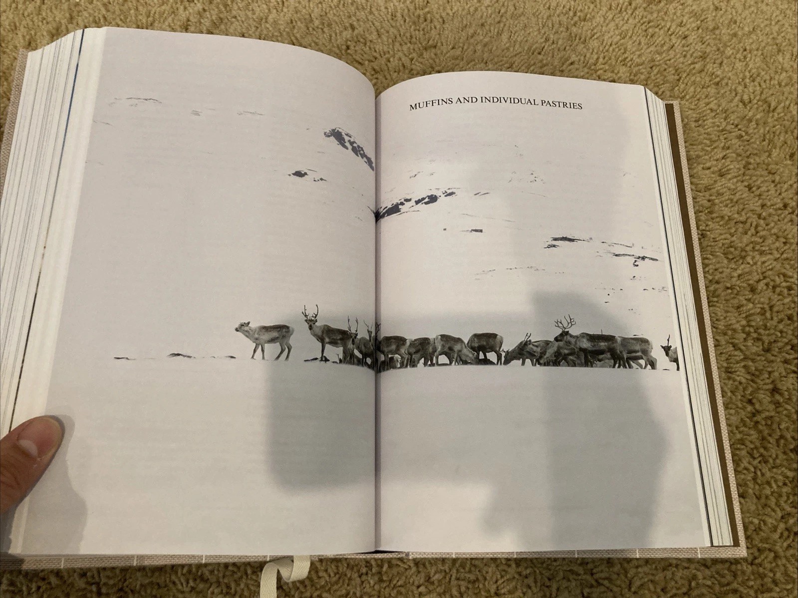 The Nordic Baking Book