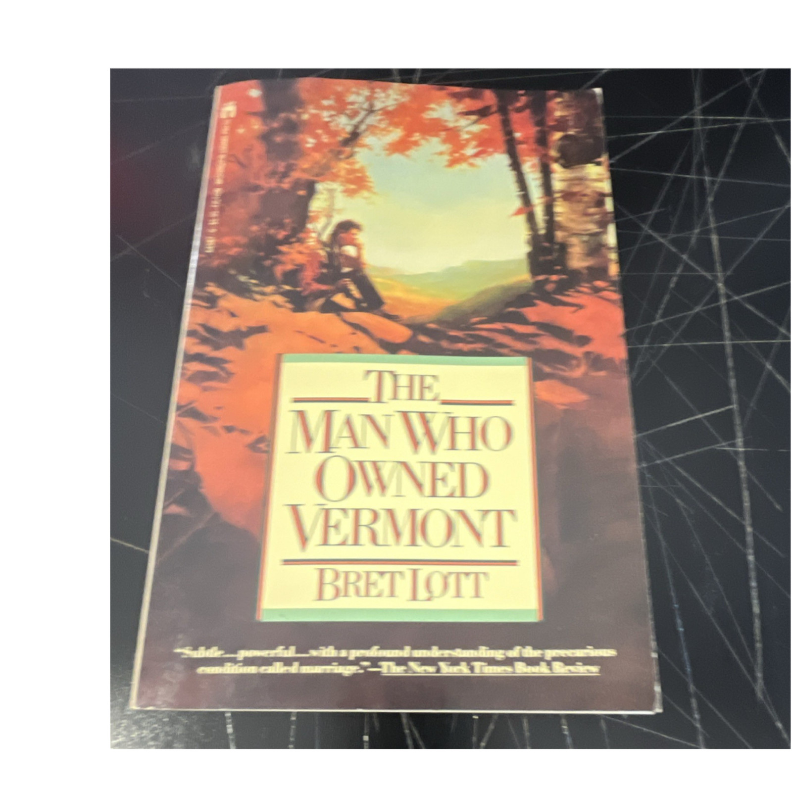 Washington Square Press The Man Who Owned Vermont by Bret Lott, Paperback, Sign…