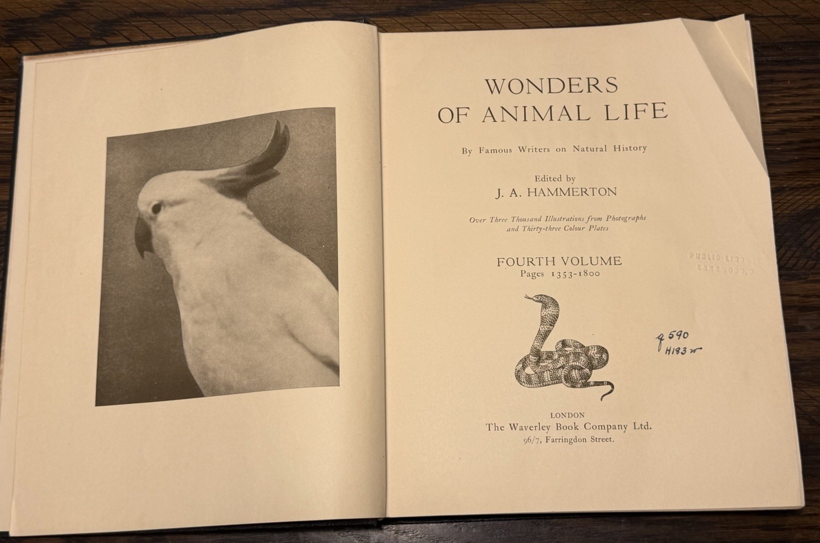 Wonders of Animal Life Volumes 1-4 J A Hammerton HC Waverley Natural History