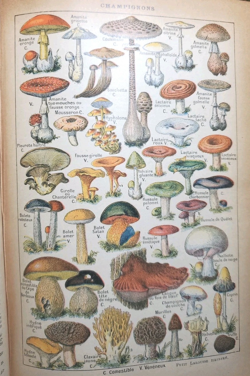 Antique 1920s Petit Larousse Illustrated Dictionary Paris HC French 1664 Pages