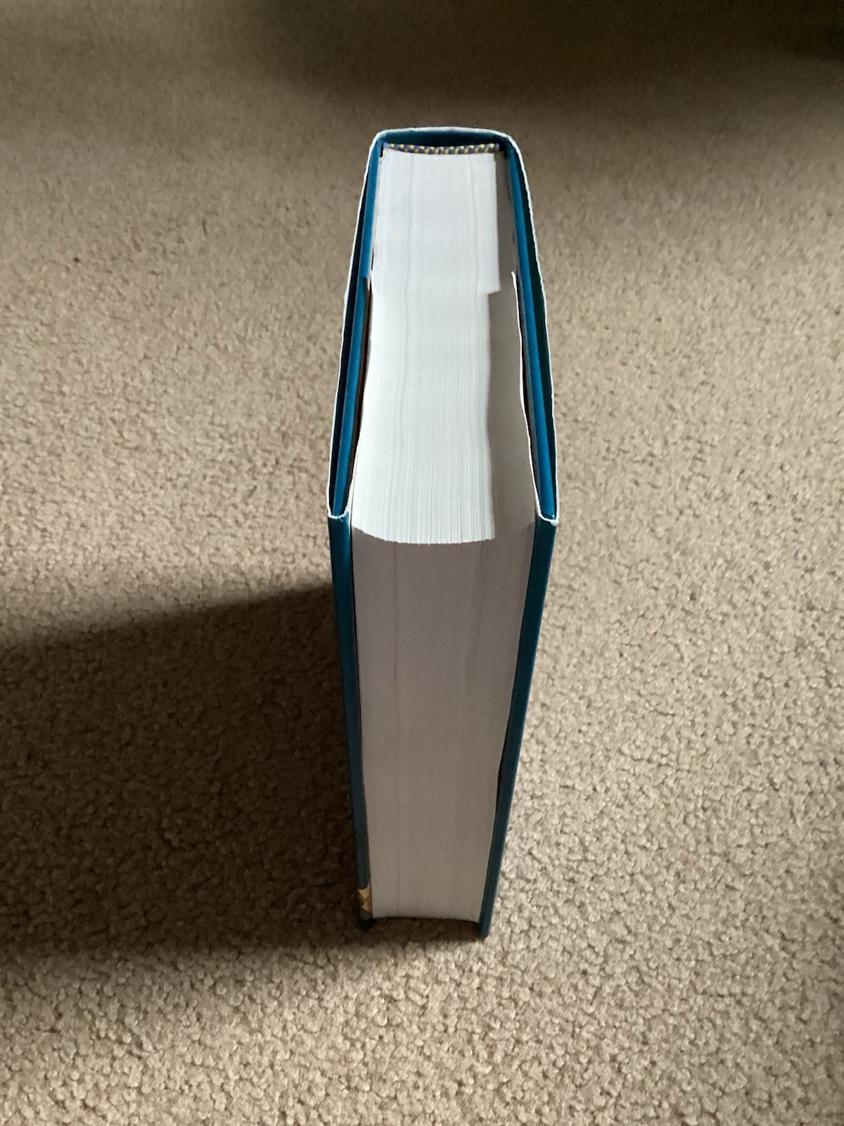 New Jerusalem Bible : Saints Devotional Edition (2002, Hardcover)