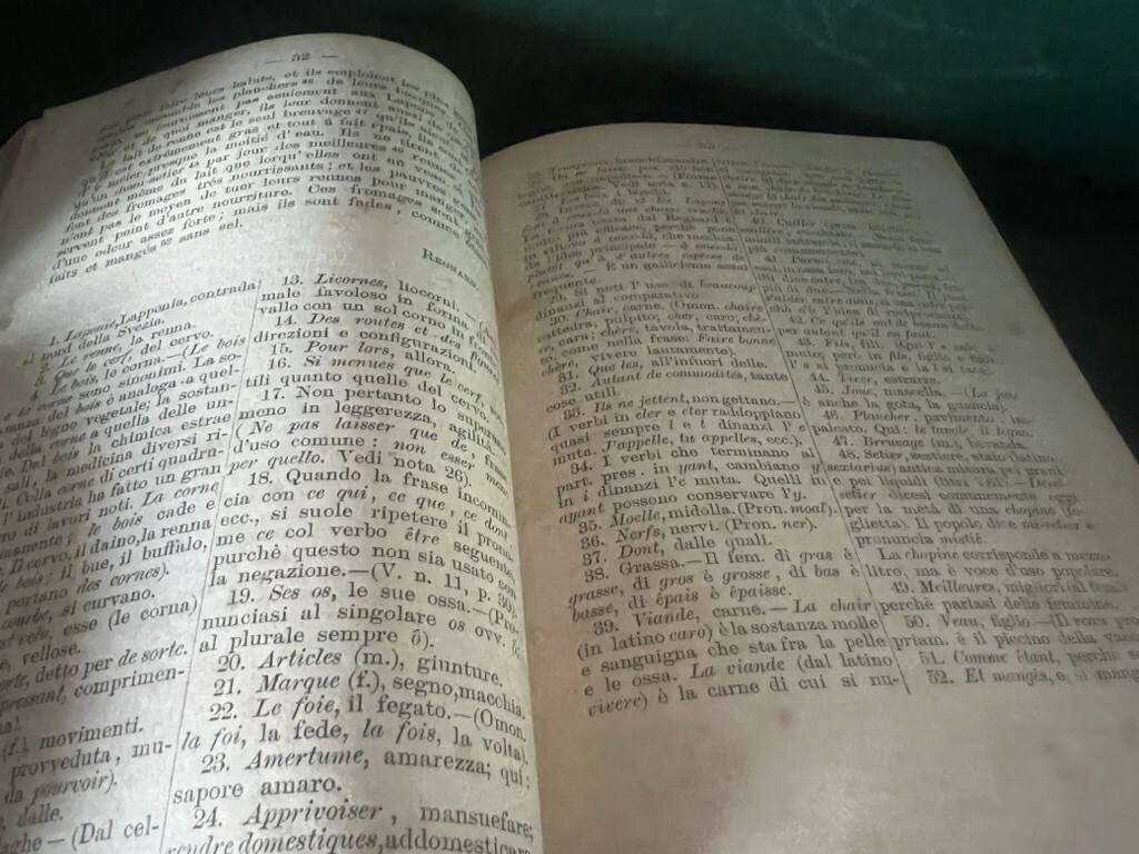 Book ANTHOLOGIE Short Stories French Italian In Prose Romeo From 1894