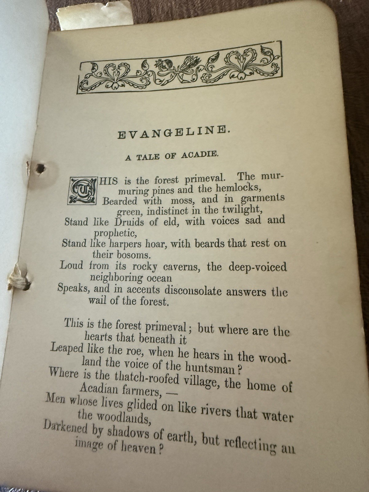 Vellum Cover Gold Leaf Antique Evangeline Longfellow Poem Book Rare Find! 1886