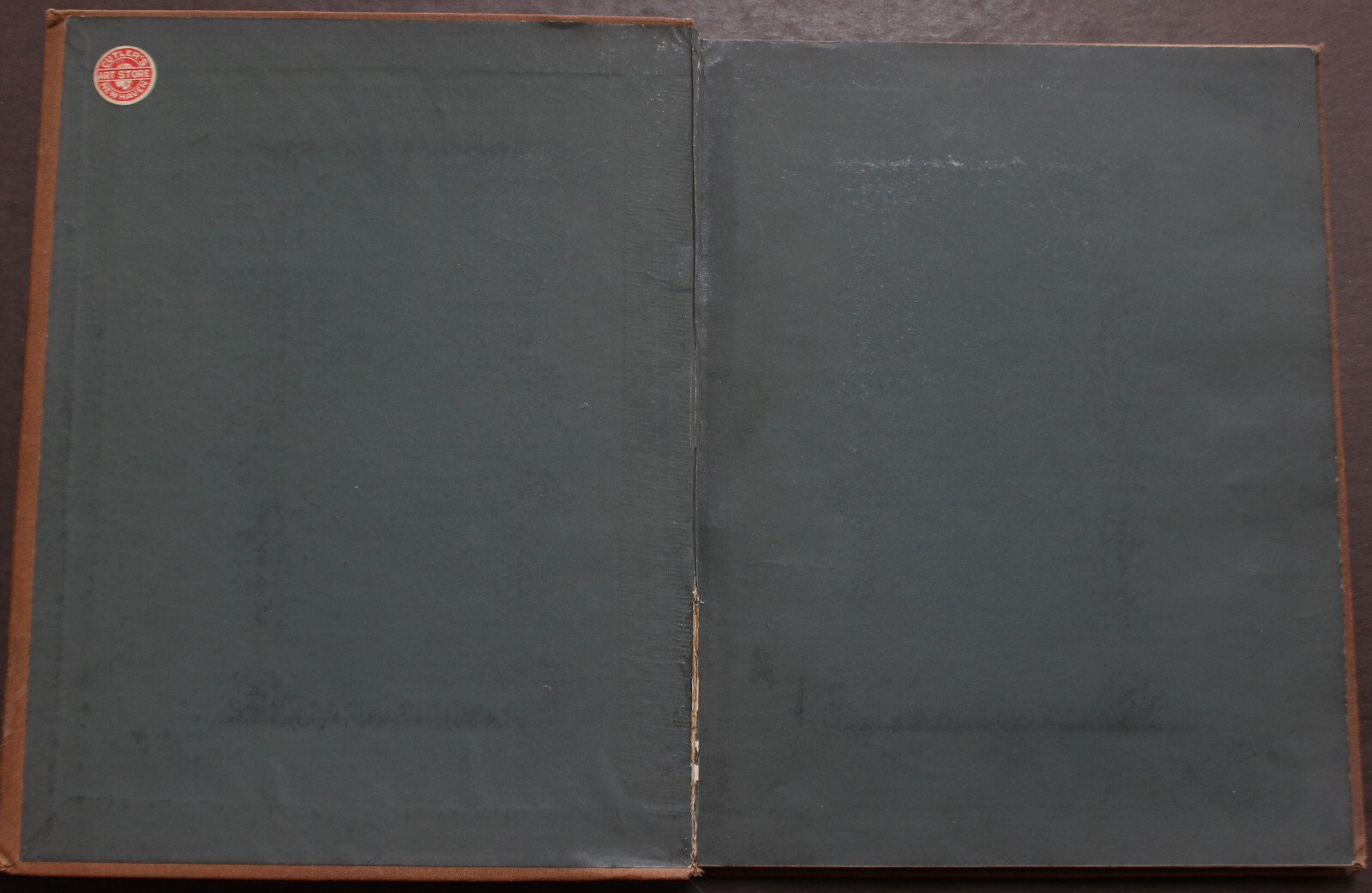 Rare Antique Old Book Beginner Watercolor Series Painting ~1890 Illustrated Work