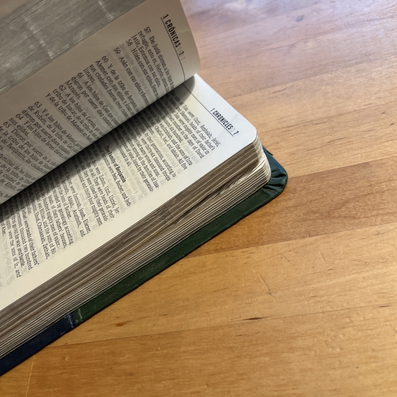 NKJV/RVR60, Bilingual Bible, Leathersoft, 2-Tones Green and Blue / NKJV/RVR6…