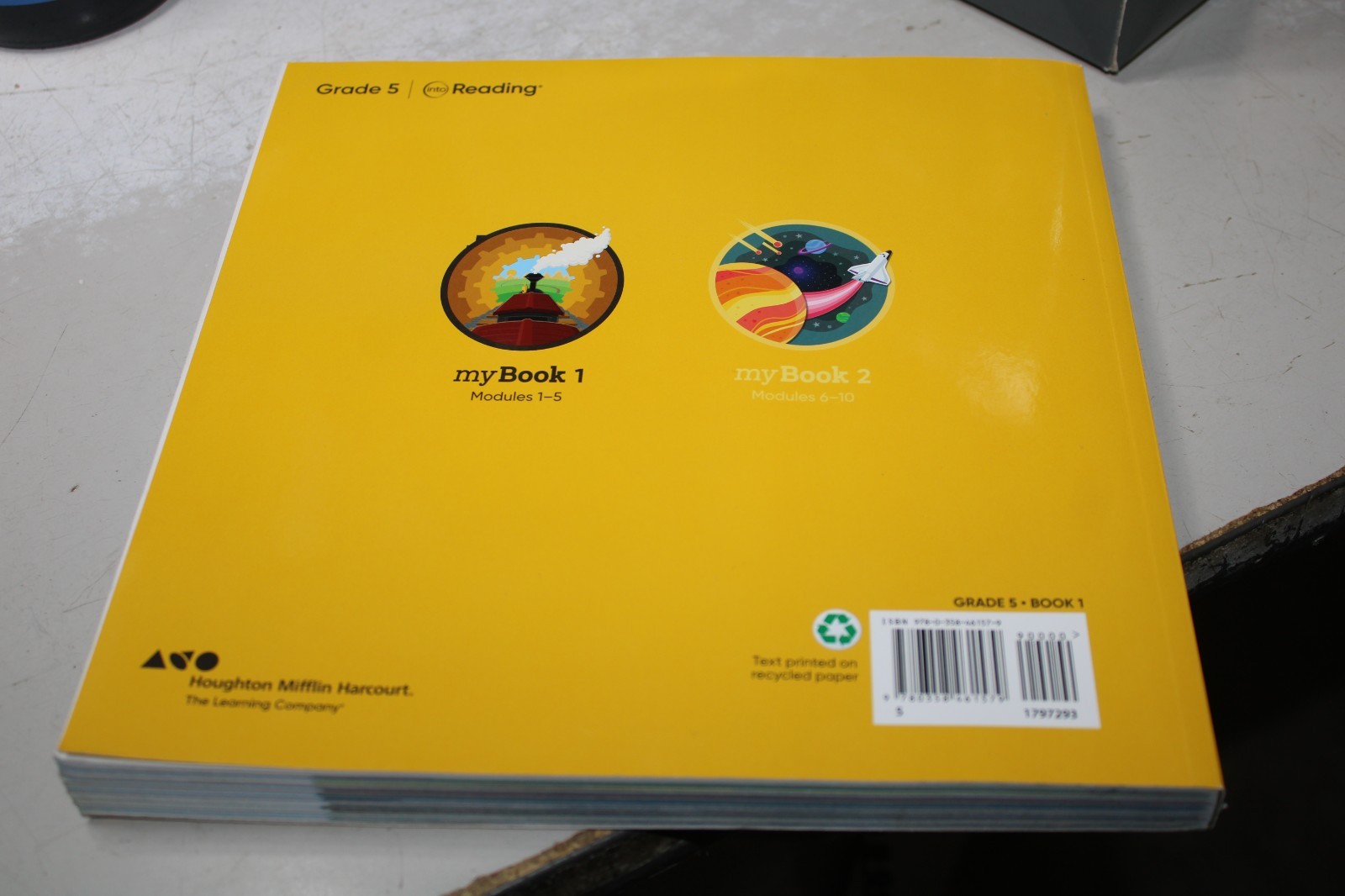 Student Mybook Grade 5 (Into Reading, myBook 1)