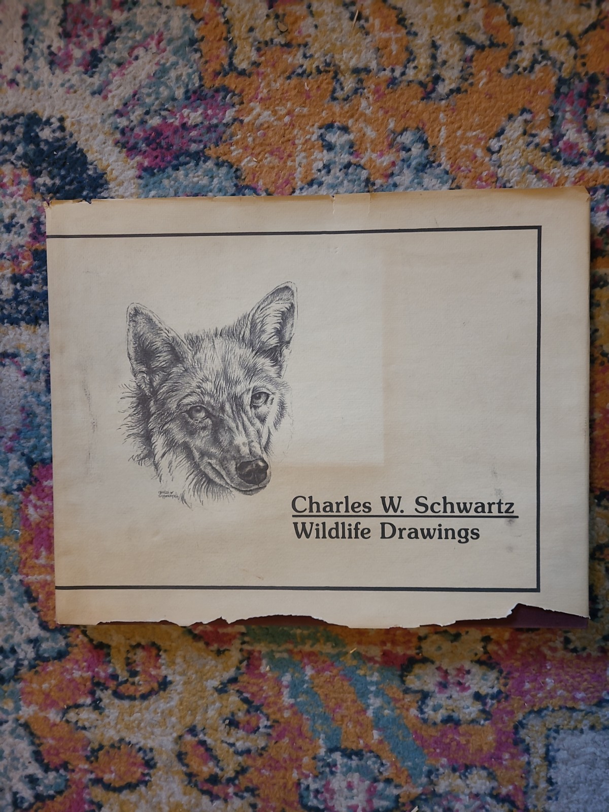 Charles W. Schwartz – WILDLIFE DRAWINGS – First Edition 1980 Dust Jacket Sketch