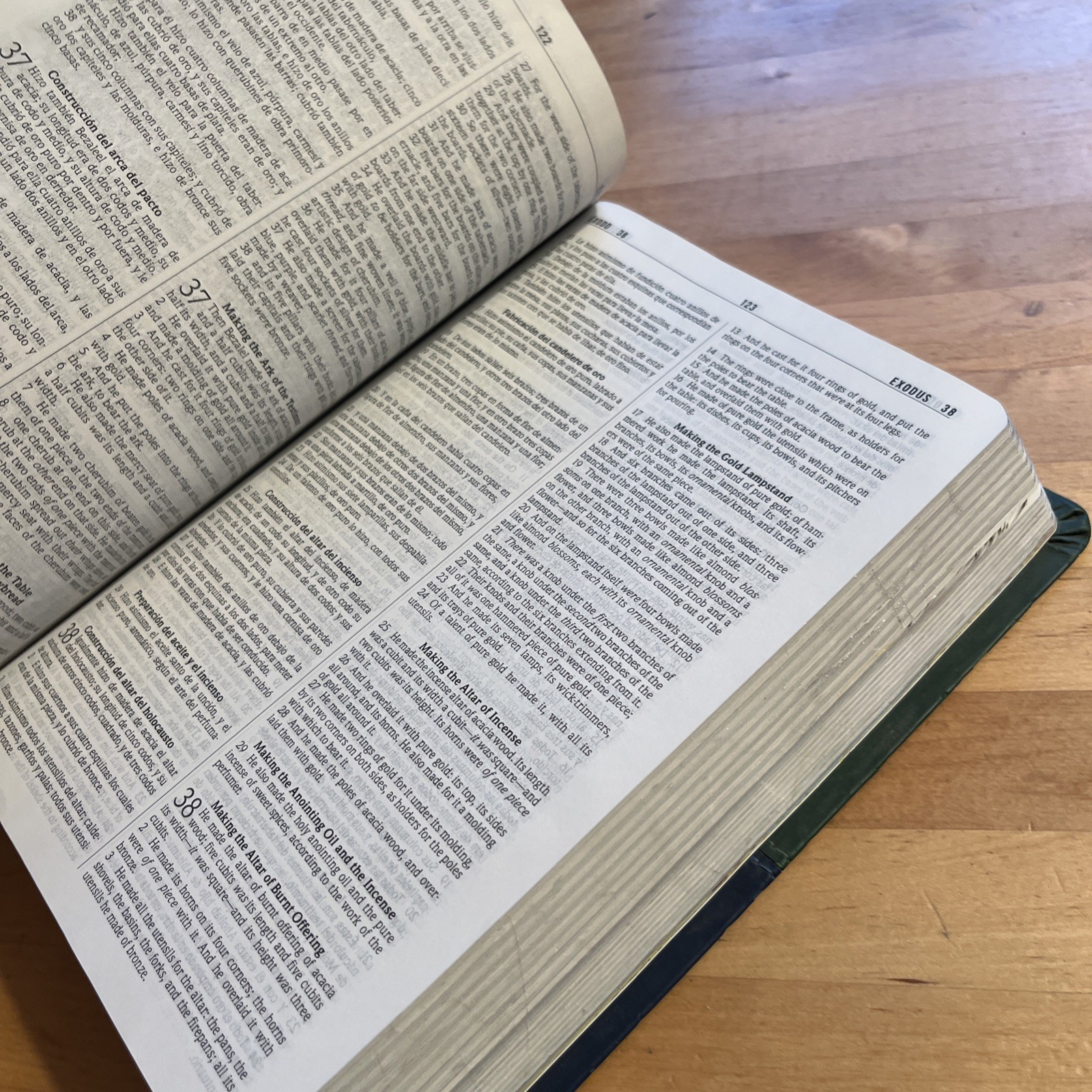 NKJV/RVR60, Bilingual Bible, Leathersoft, 2-Tones Green and Blue / NKJV/RVR6…