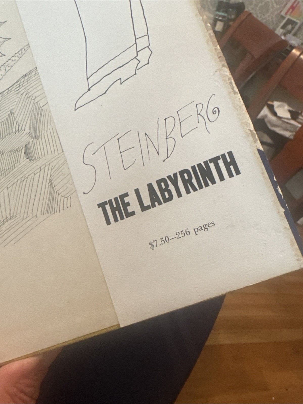 THE NEW WORLD,1965,Saul Steinberg,1st Edition,DJ