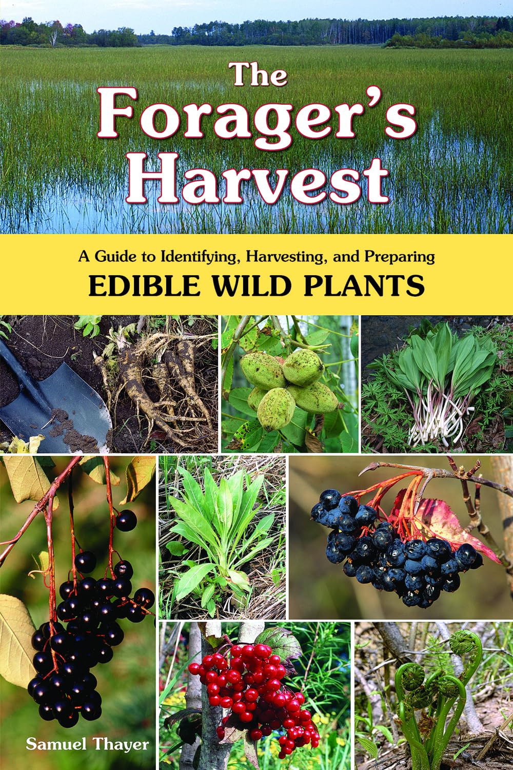 The Forager’s Harvest: A Guide to Identifying, Harvesting, and Preparing Edible