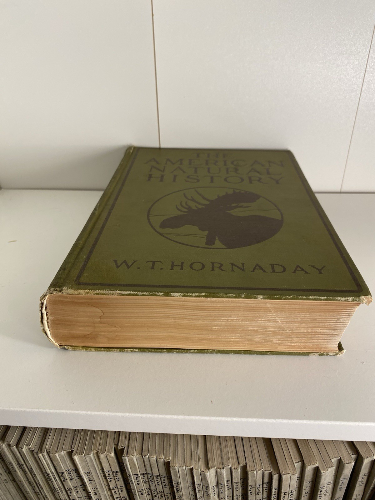 Antique Illustrated The American Natural History WT Hornaday 1912 Hardcover