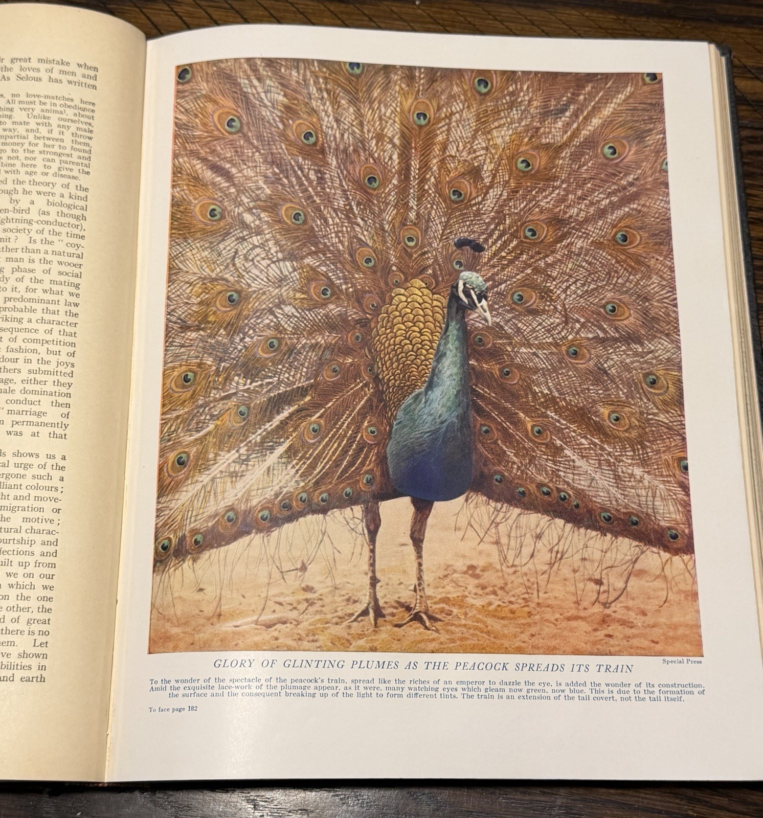 Wonders of Animal Life Volumes 1-4 J A Hammerton HC Waverley Natural History