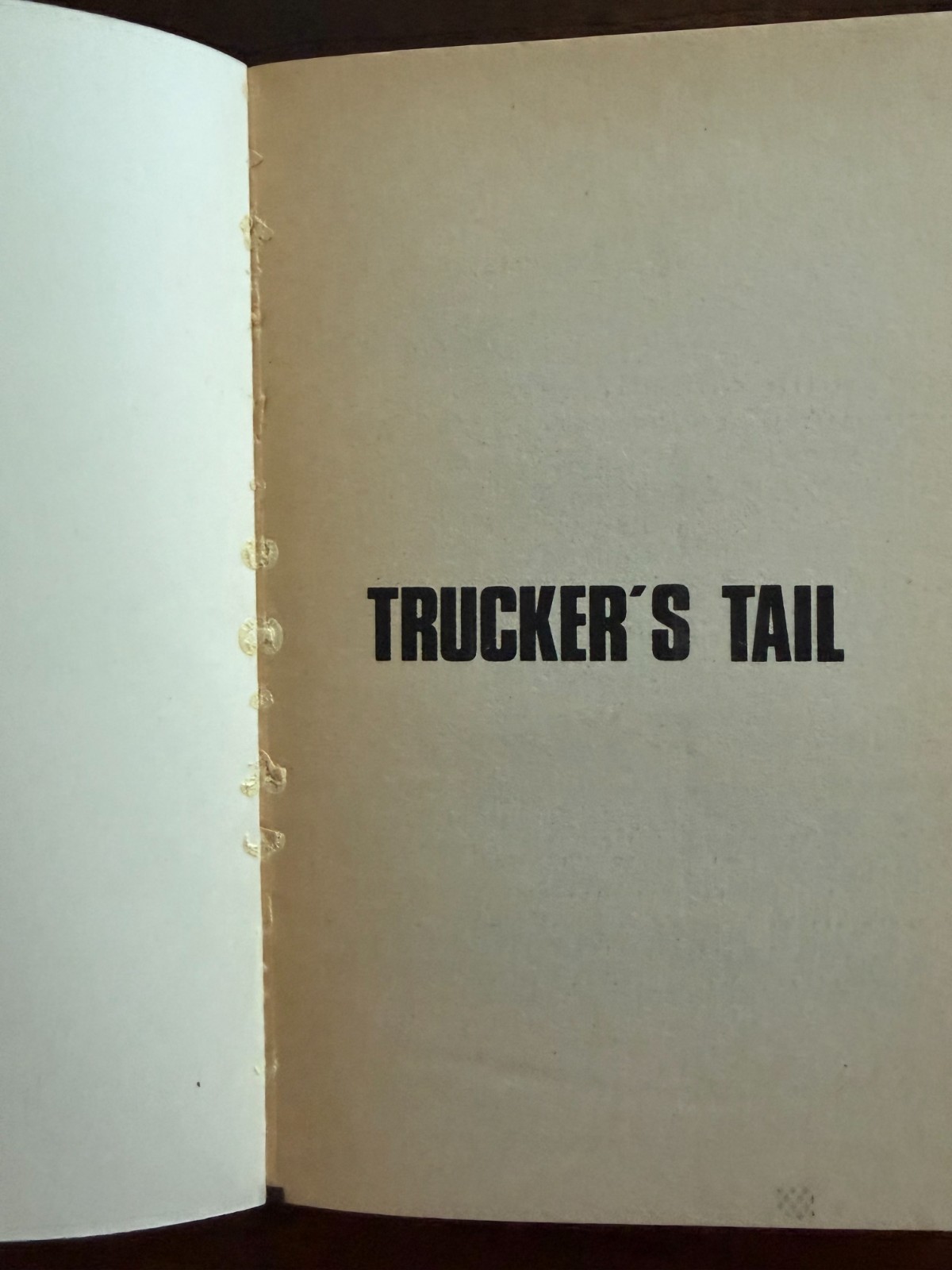 TRUCKER’S TAIL by Clay Caldwell HIS69450 Gay Pulp Paperback 1982 VG see pics
