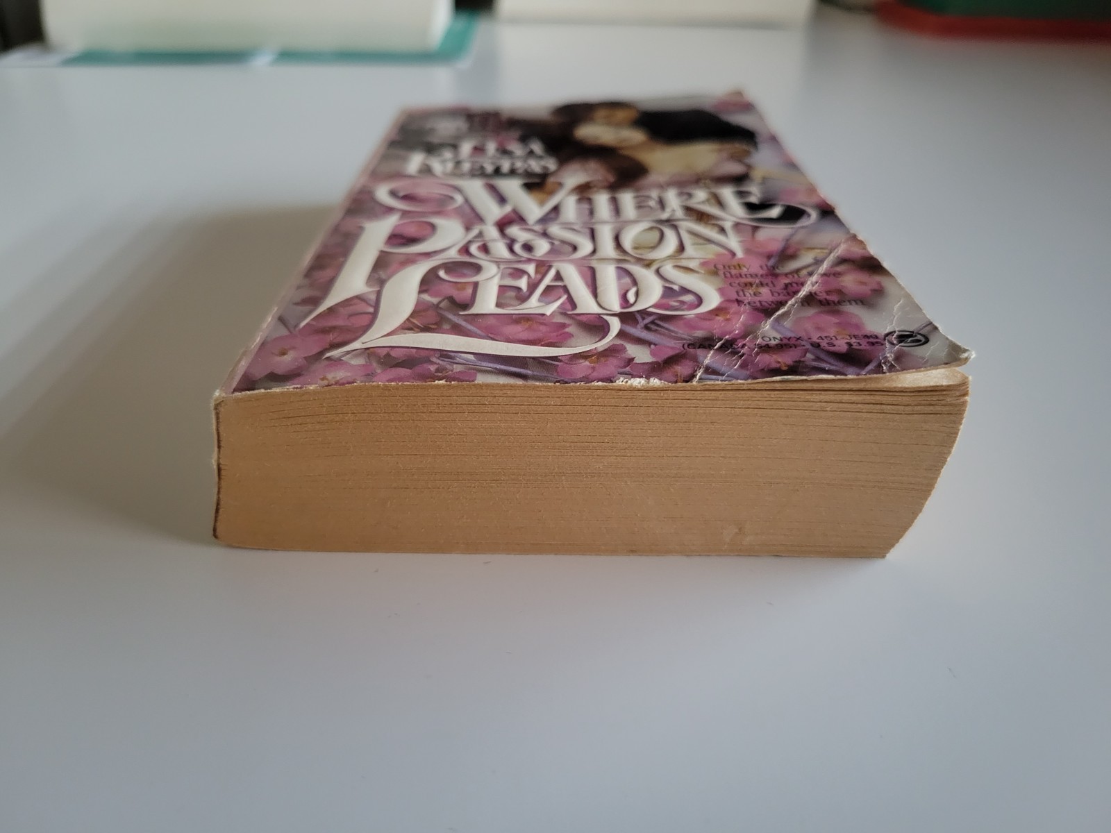 1987 WHERE PASSION LEADS LISA KLEYPAS 1ST EDITION PAPERBACK ONYX ROMANCE VTG