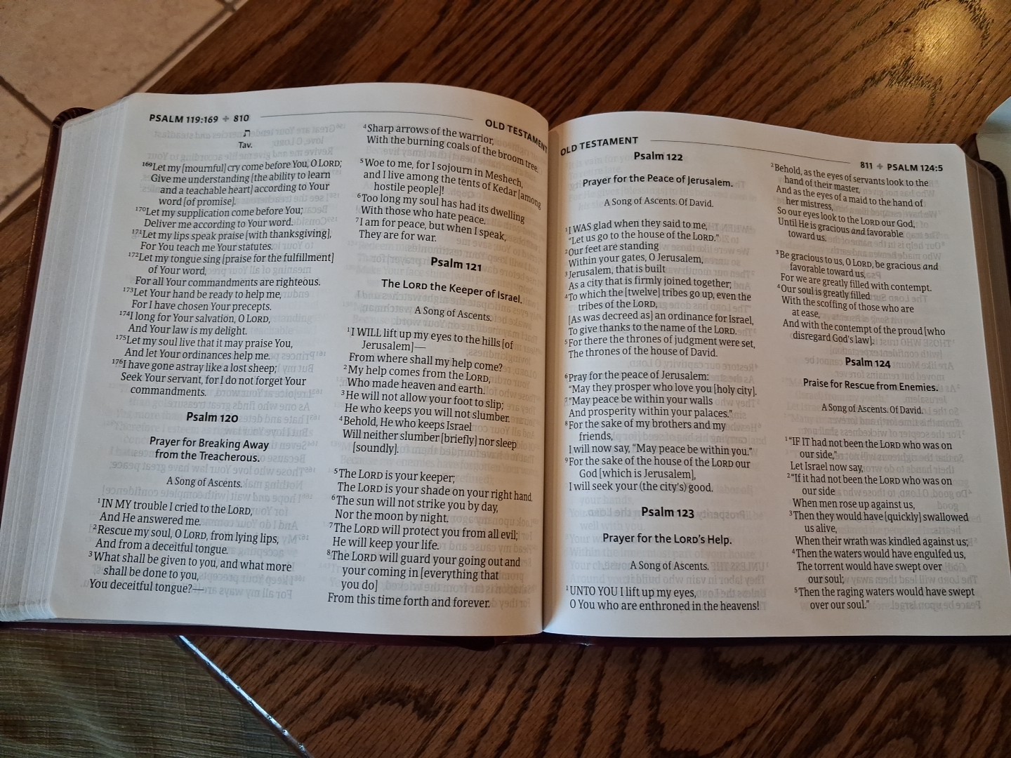 Amplified Bible XL Edition ~Retail $52.99~ Burgundy Leathersoft LARGE PRINT 12.5