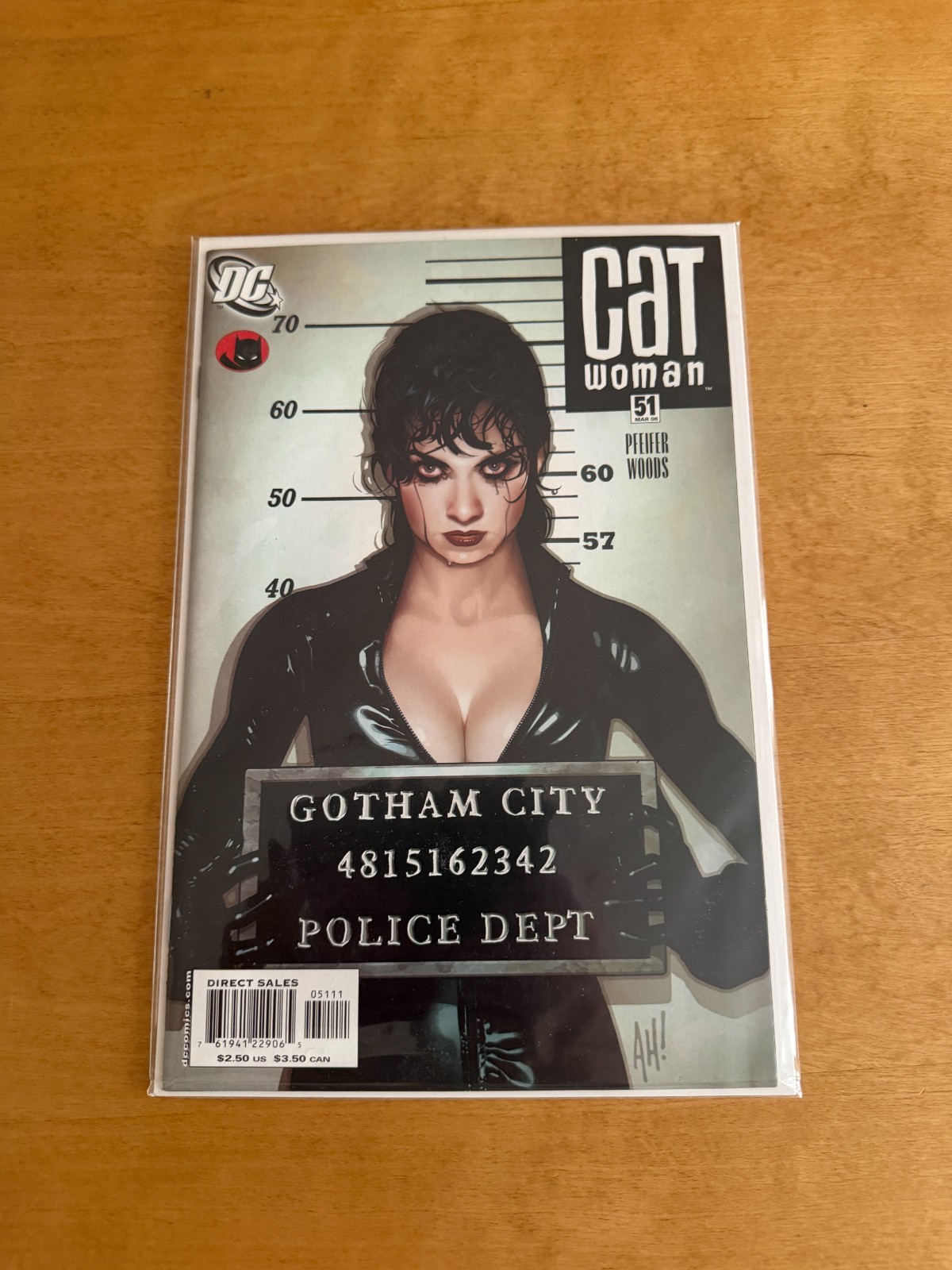Catwoman #51 set DC Comics (2002 series) Adam Hughes