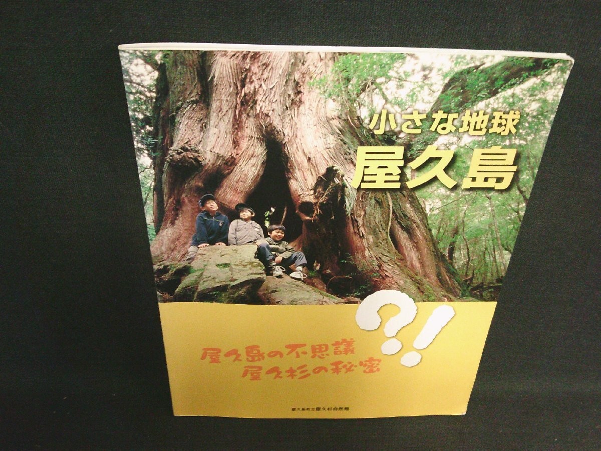 Small Earth Yakushima Tanned/Hey