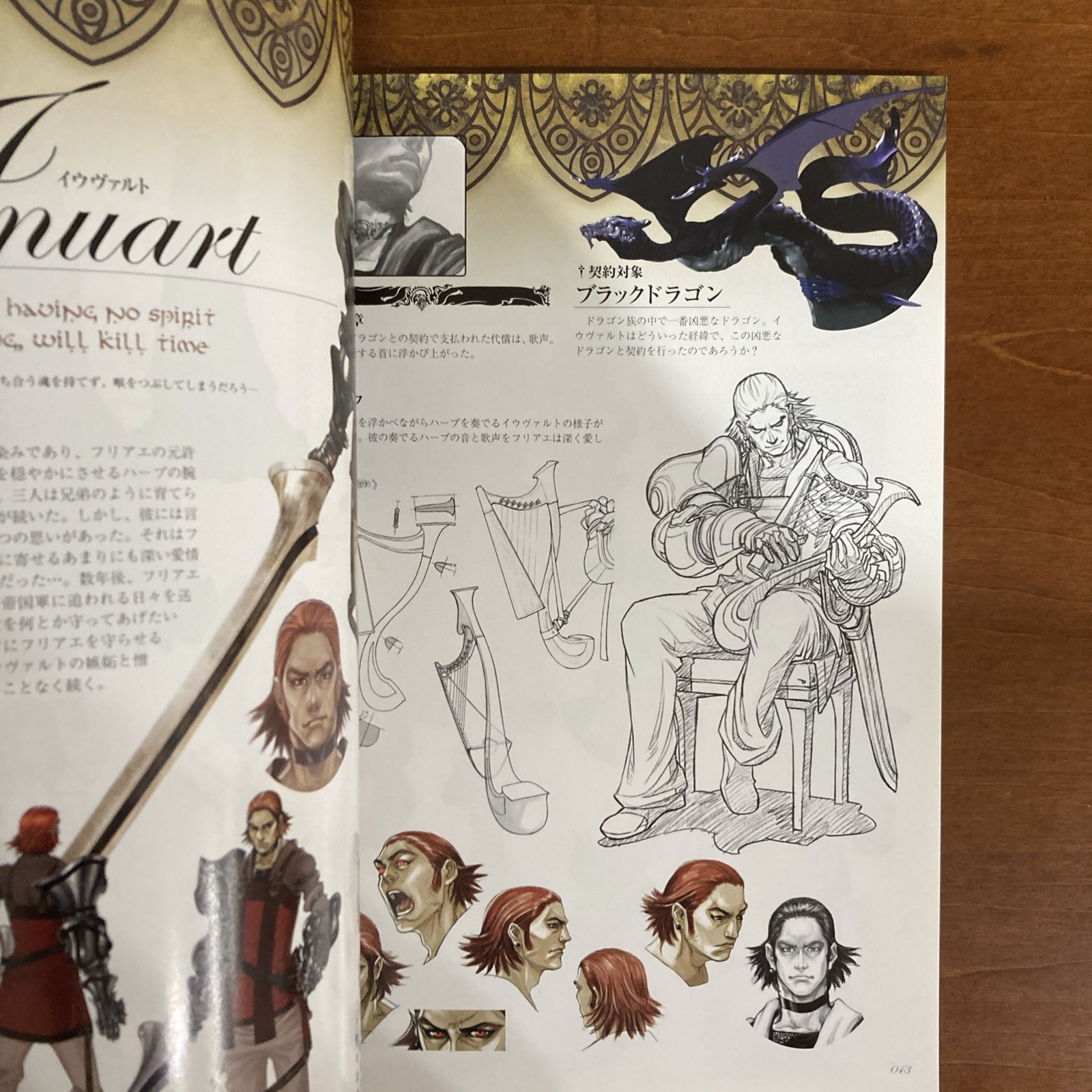 Drag-on Dragoon Art BookThe Materials Illustration