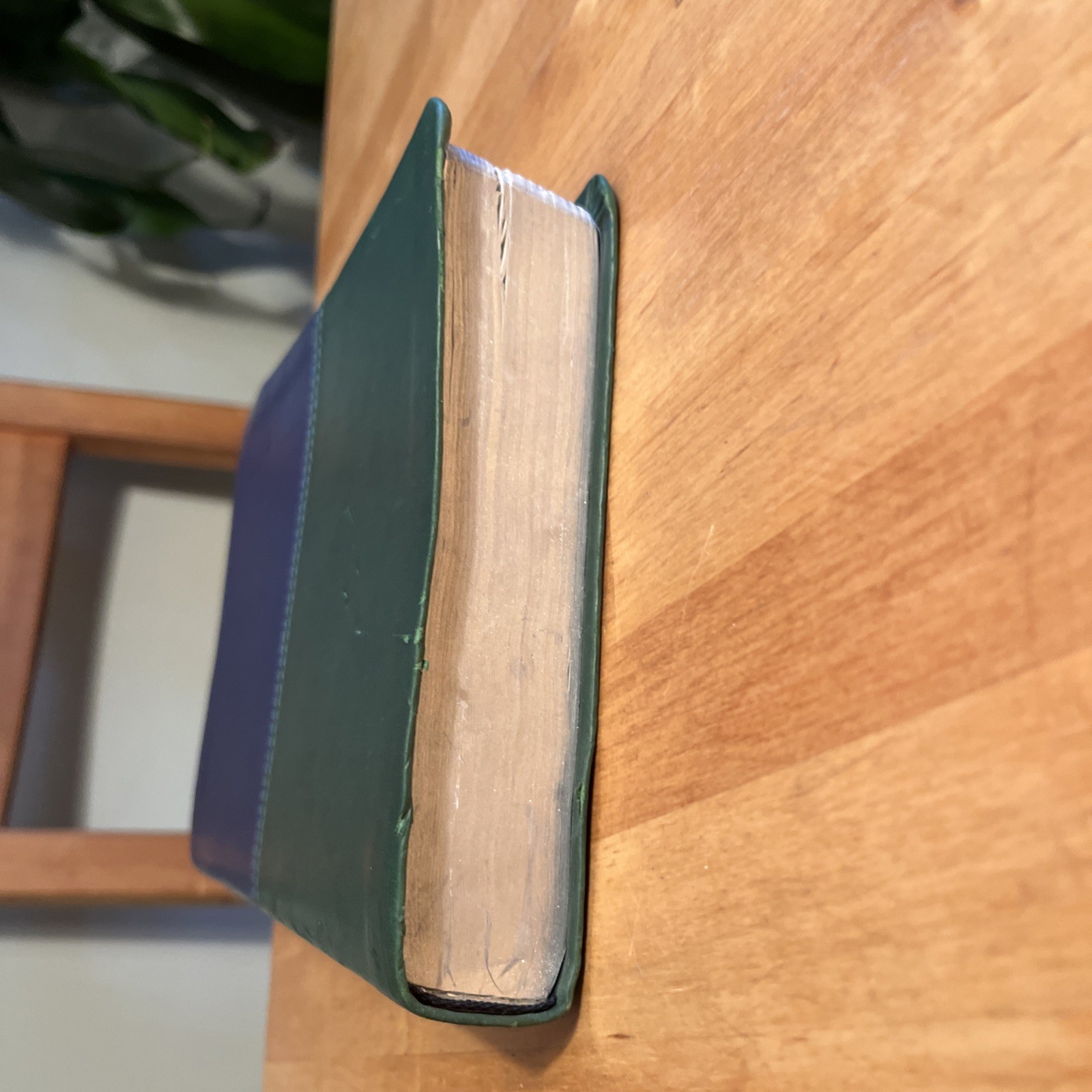 NKJV/RVR60, Bilingual Bible, Leathersoft, 2-Tones Green and Blue / NKJV/RVR6…