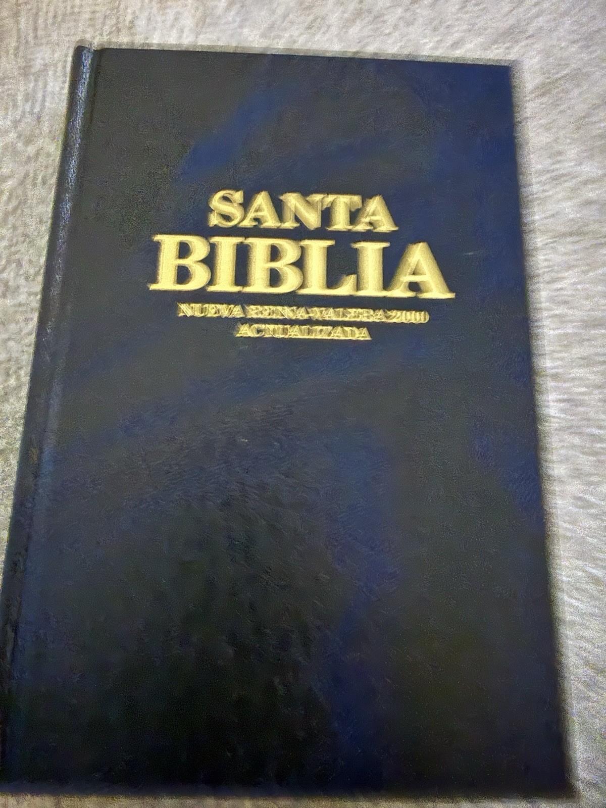 Santa Biblia/Holy Bible, NVI/NIV, Nueva Version Internacional/New Internatio…