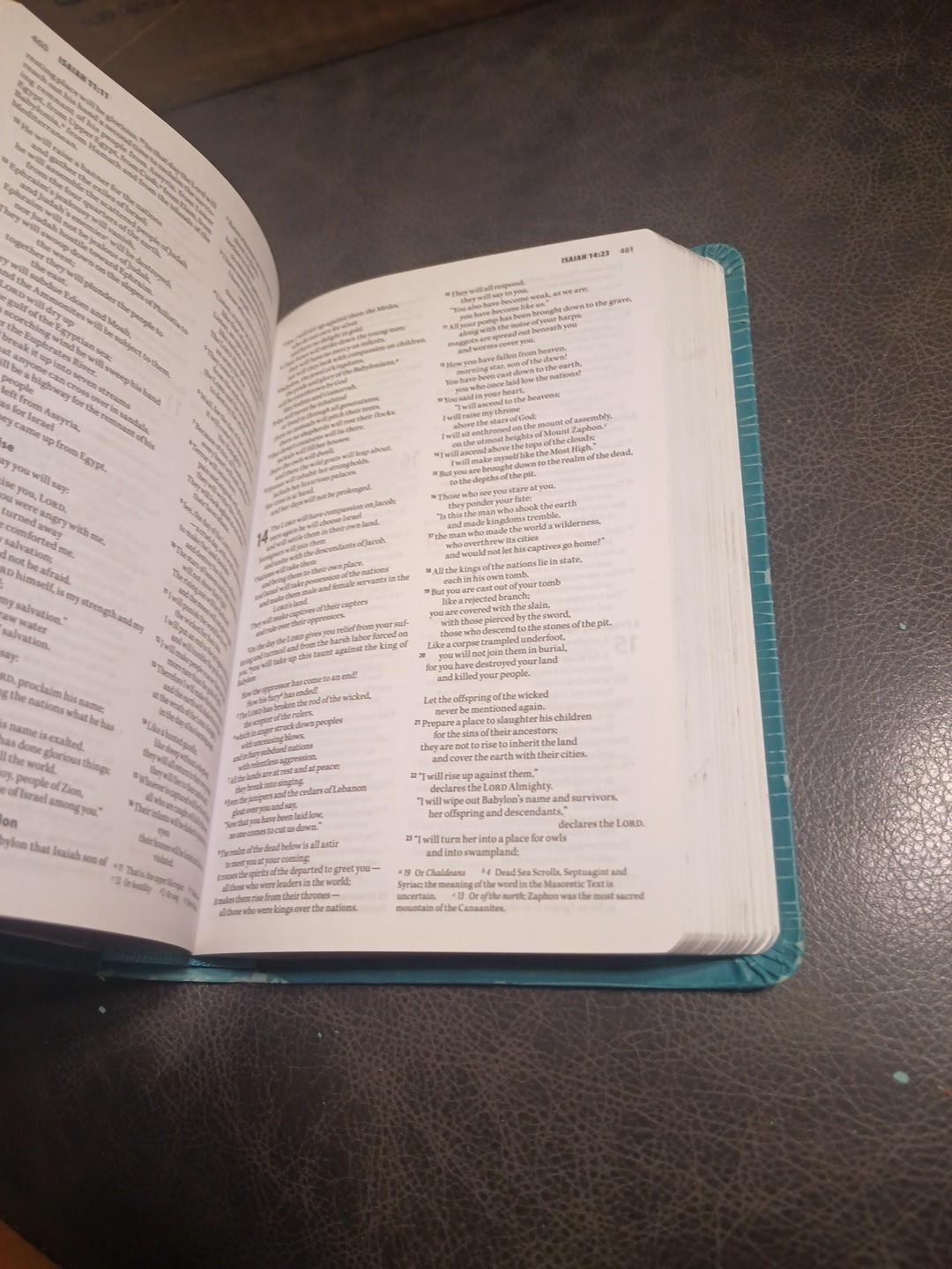 NIV Compact Bible 2011 Teal Italian Duo-Tone Leathersoft 6.5 x 4 x 1.5″