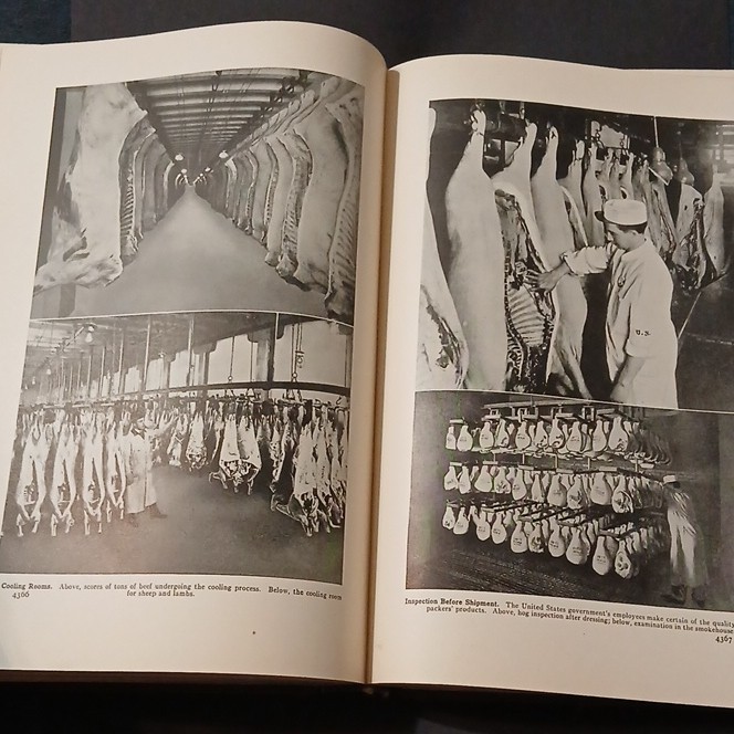 The World Book Encyclopedia Vol 7 Leon to Monroe 1931 Roach-Fowler HC Illus