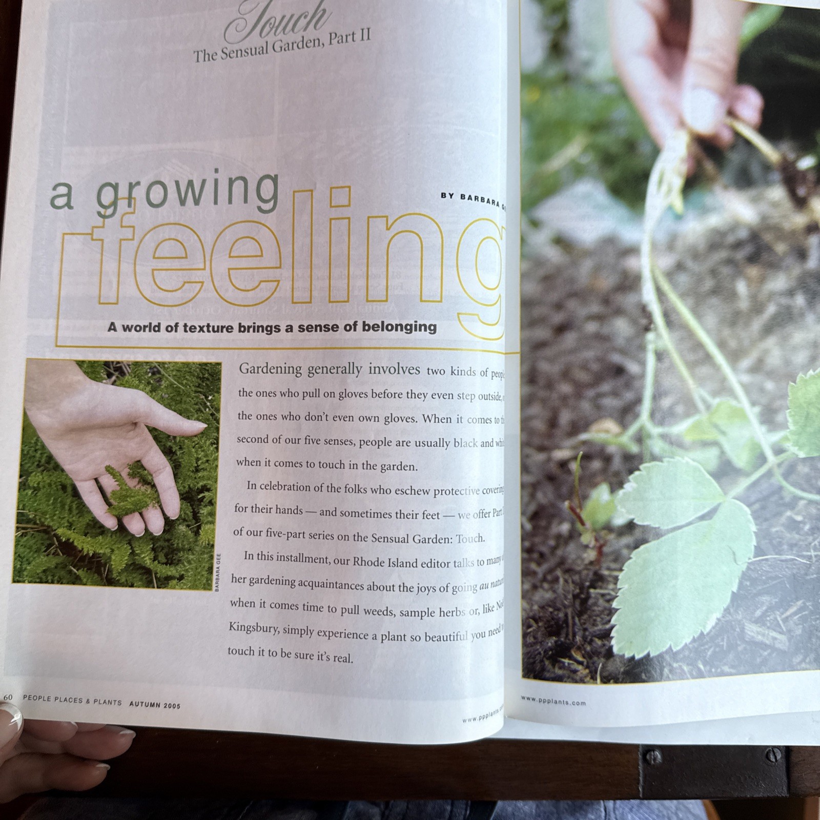 PEOPLE PLACES PLANTS – New England & New York Garden Magazine Autumn 2005 112 Pg