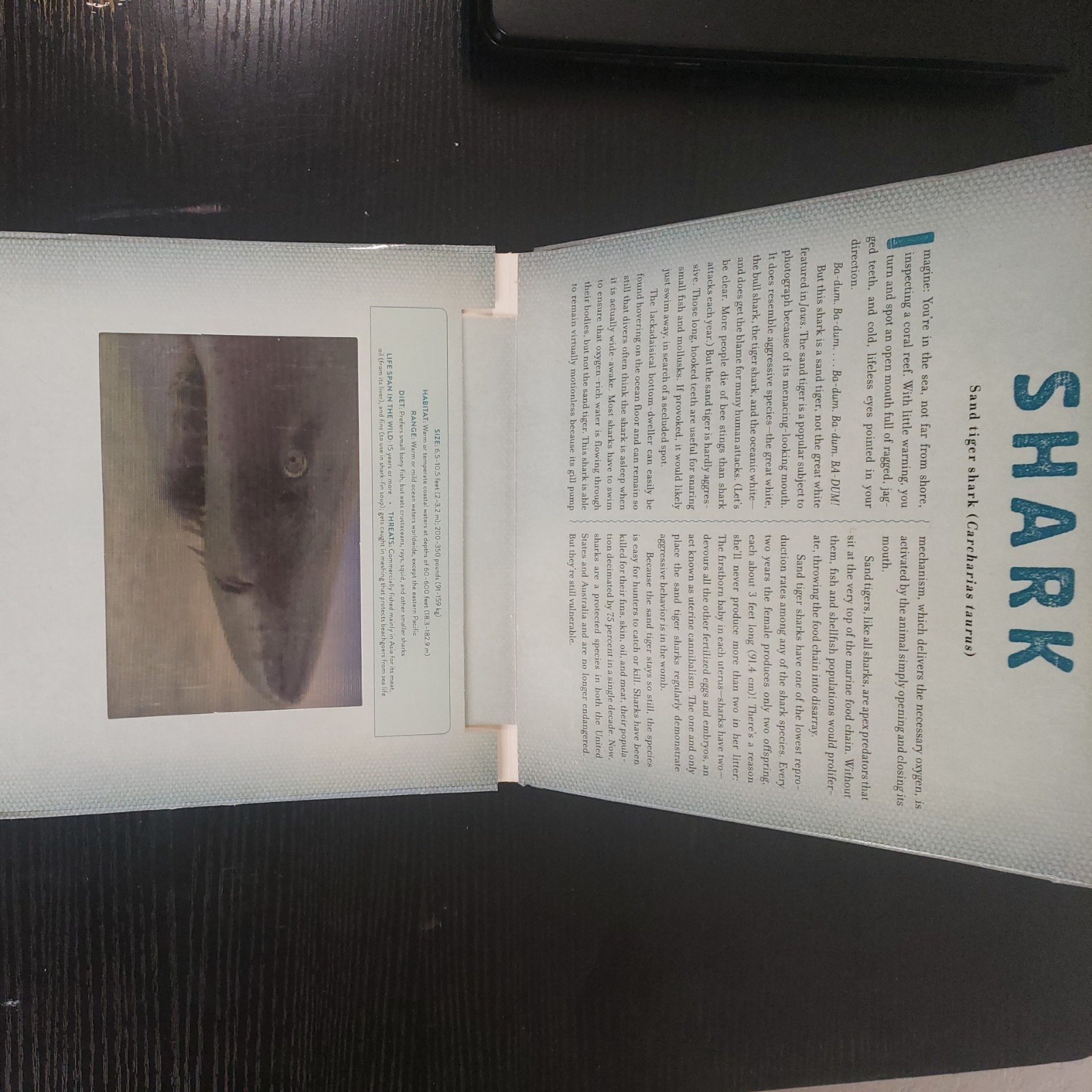 Ocean : A Photicular Book by Carol Kaufmann and Dan Kainen (2014, Hardcover)