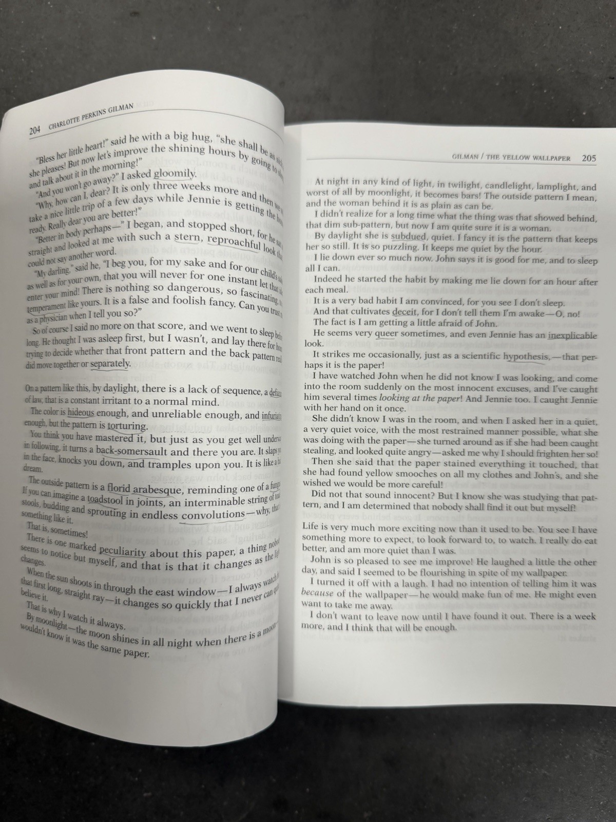 Literature: A Portable Anthology, Gardner, Janet,Diaz, Joanne,Lawn, Beverly,Ridl