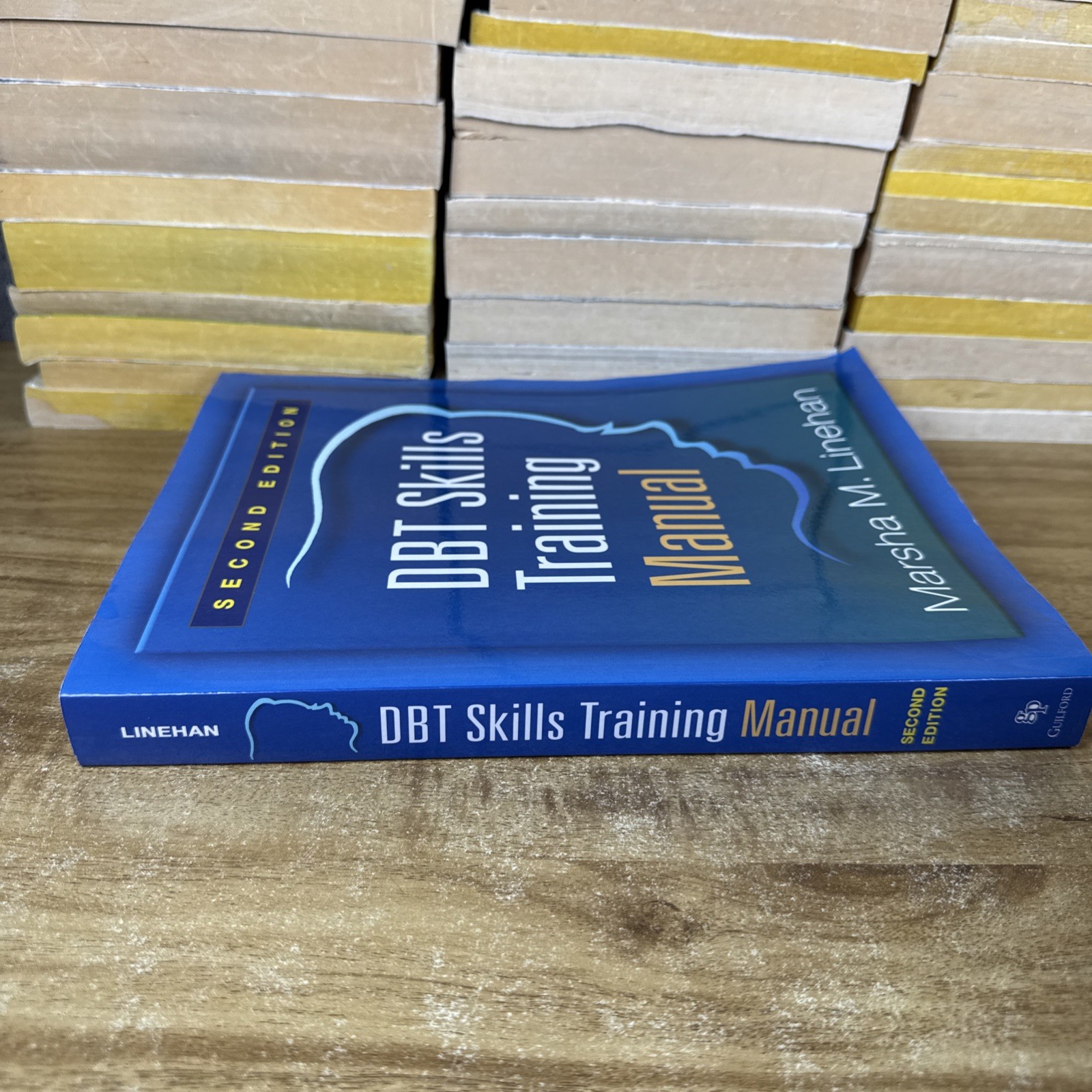 DBT Skills Training Manual, Second Edition by Marsha M. Linehan (2014, Trade