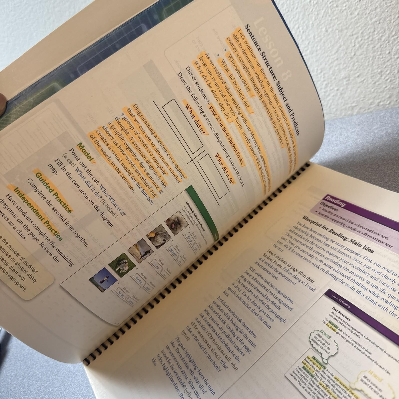 Voyager Sopris Learning Language! Live Teacher Edition Level 1 Units 1-6