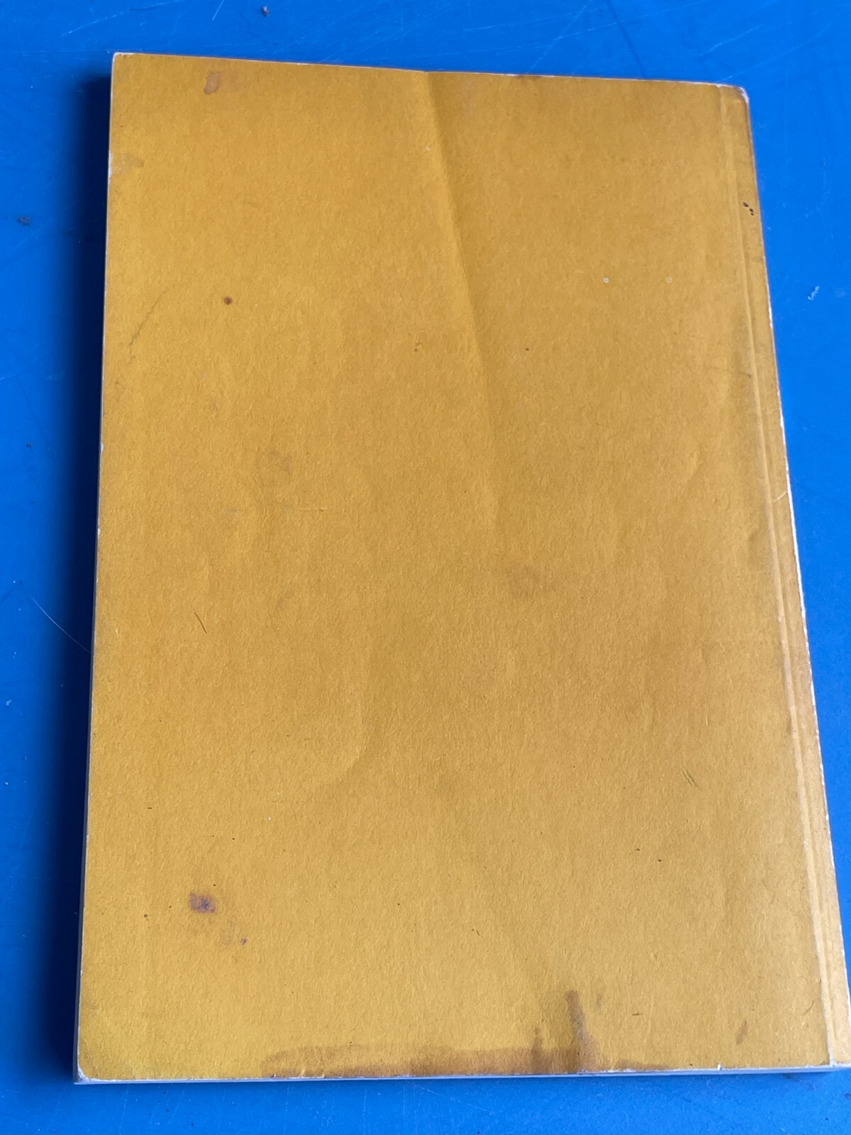 A History Of Constableville, By Mary E. Traxel, Paperback, 116 Pages NY New York