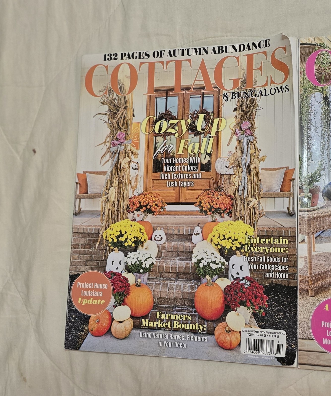 Lot of 3 Cottages & Bungalows Magazine As Pictured