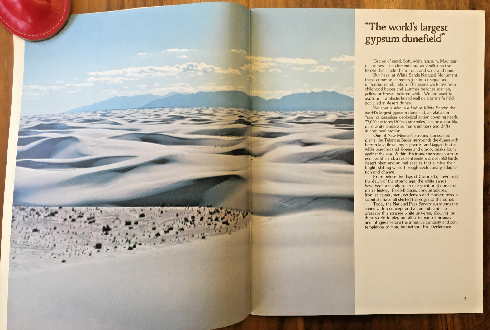White Sands ~ wind, sand and Time by Richard Atkinson ~ VINTAGE 1977 New Mexico