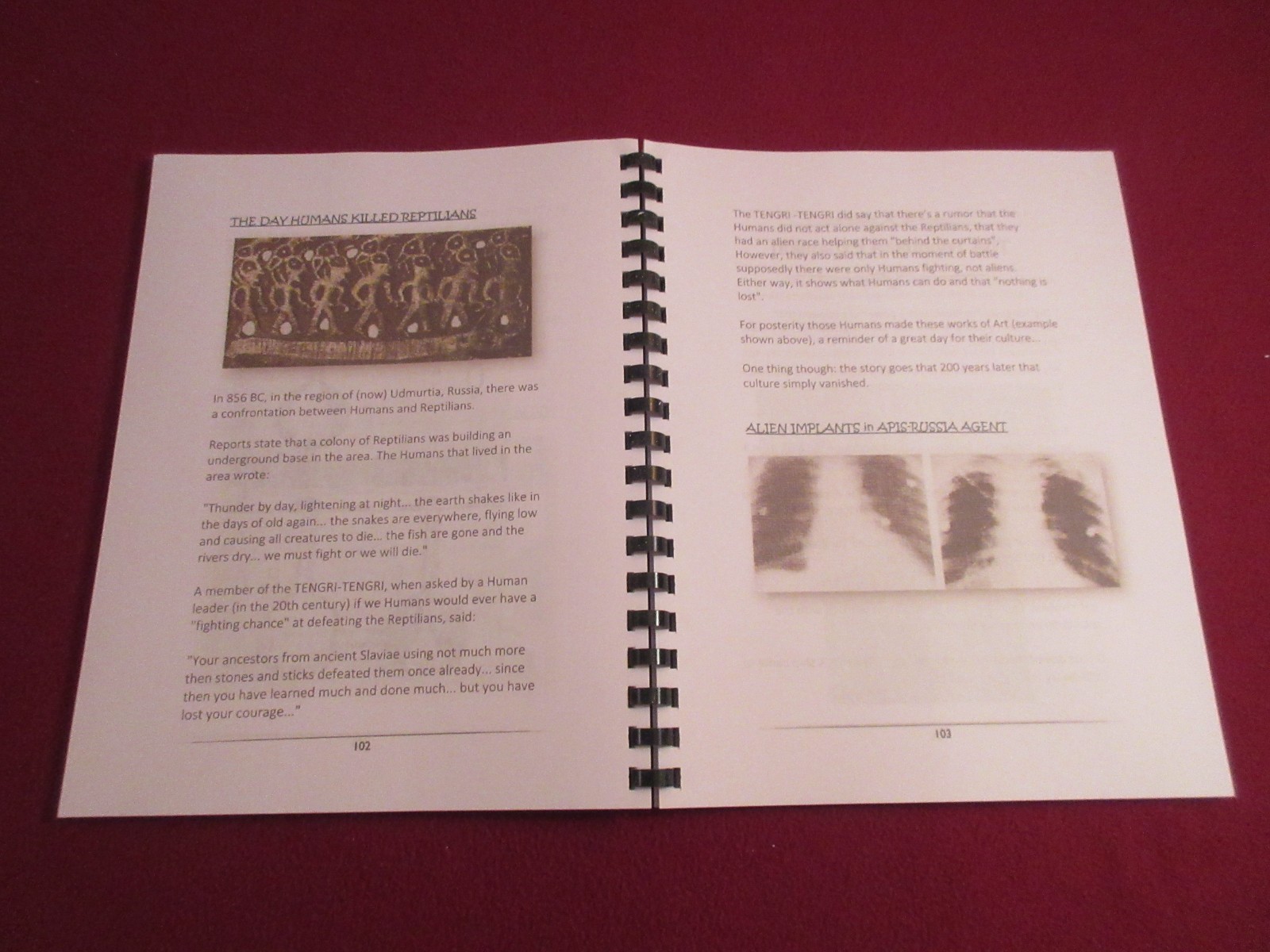 Book Of Alien Races Translated from KGB Secret Russian Book w/Pictures