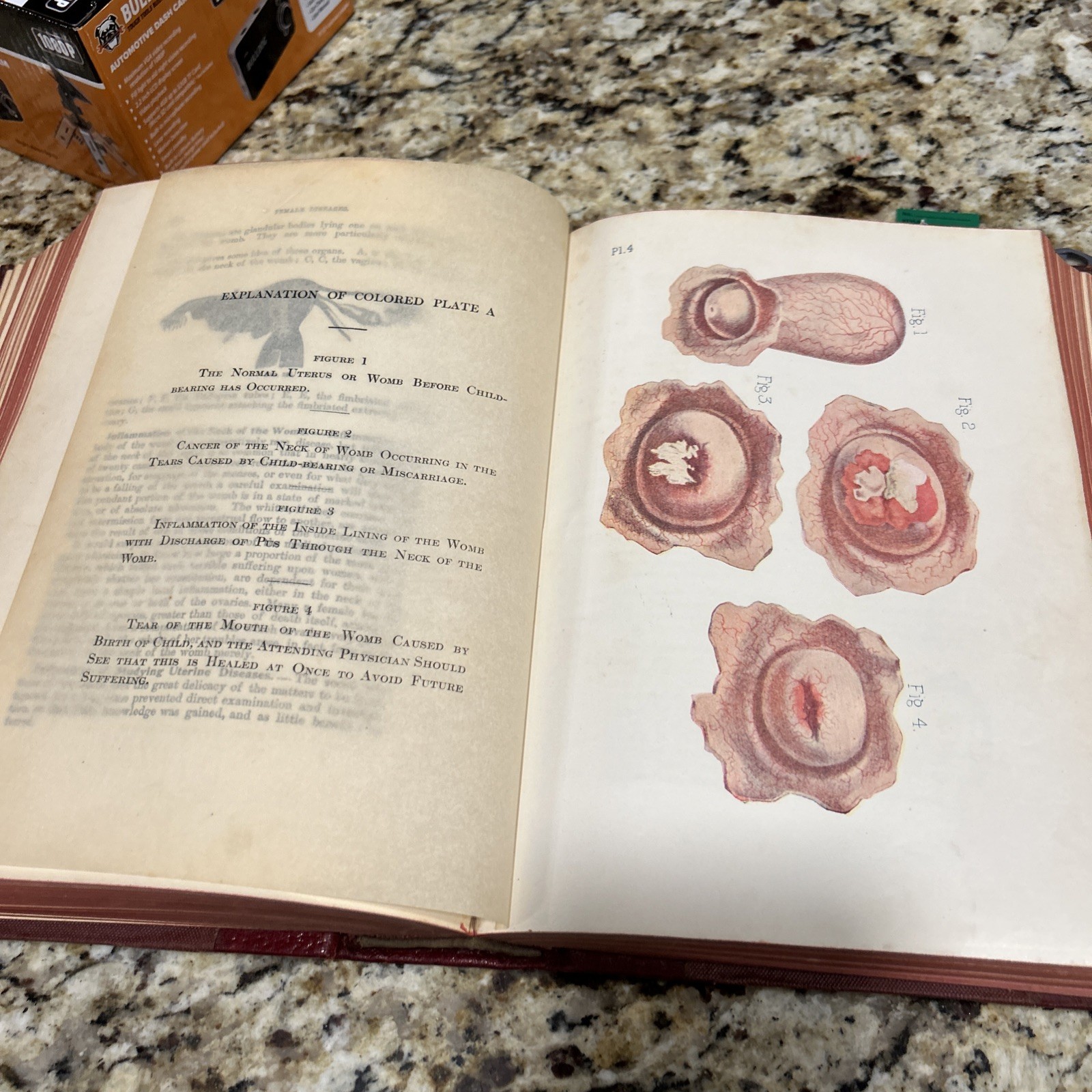 The Household Physician A Twentieth Century Medica – 12 books in 1 Volume; 1912