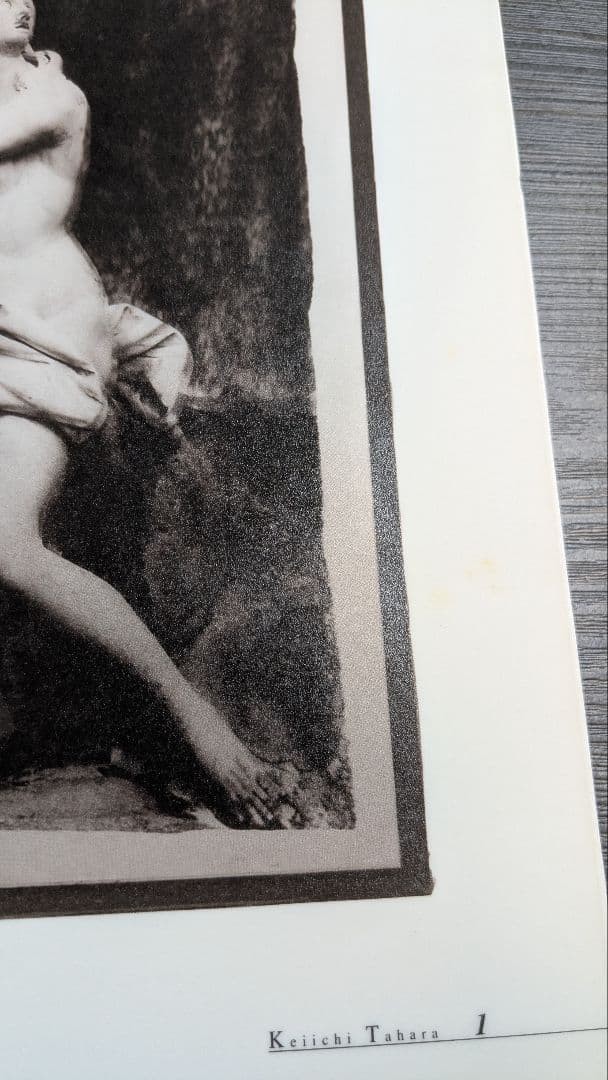 SHASIN Exhibition: Six Individualities that Create an Era Catalog